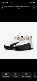 Air Jordan retro 12 replica