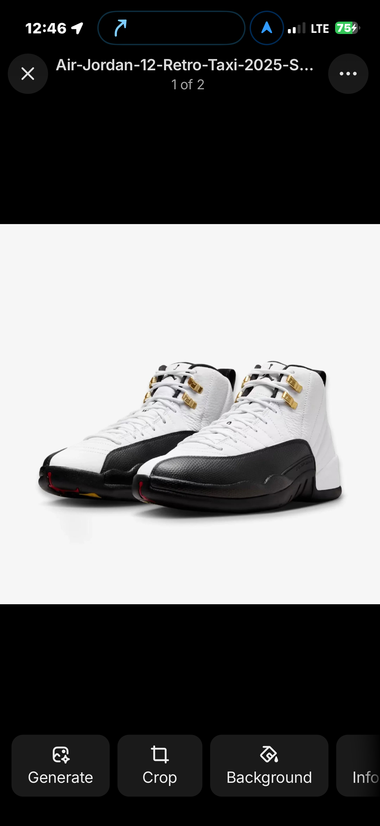 Air Jordan retro 12 replica